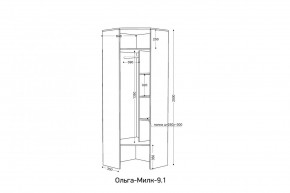 ОЛЬГА-МИЛК 9.1 Шкаф угловой без зеркала в Режи - rezh.ok-mebel.com | фото 2