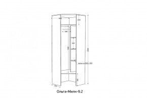 ОЛЬГА-МИЛК 9.2 Шкаф угловой с зеркалом в Режи - rezh.ok-mebel.com | фото 2