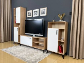 ОСКАР TRIO Гостиная (дуб золотой/белый) в Режи - rezh.ok-mebel.com | фото 3