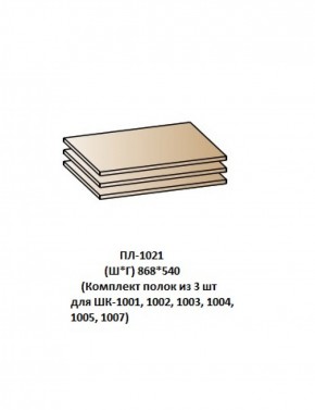 ПЛ-1021 (Комплект полок из 3 шт для ШК-1001, 1002, 1003, 1004, 1005, 1007) в Режи - rezh.ok-mebel.com | фото