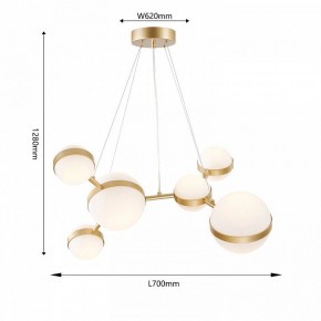Подвесная люстра Favourite Asterismo 4448-6P в Режи - rezh.ok-mebel.com | фото 5