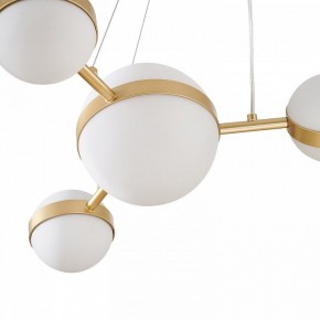 Подвесная люстра Favourite Asterismo 4448-6P в Режи - rezh.ok-mebel.com | фото 7
