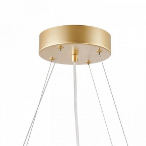 Подвесная люстра Favourite Asterismo 4448-6P в Режи - rezh.ok-mebel.com | фото 9