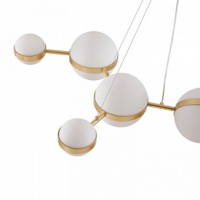 Подвесная люстра Favourite Asterismo 4448-8P в Режи - rezh.ok-mebel.com | фото 7