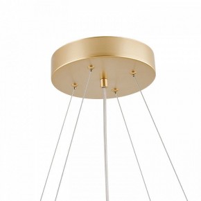 Подвесная люстра Favourite Asterismo 4448-8P в Режи - rezh.ok-mebel.com | фото 8
