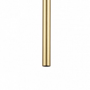Подвесная люстра Lightstar Tubo L3T747443 в Режи - rezh.ok-mebel.com | фото 5