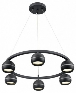 Подвесная люстра Lumion Luazana 8242/6 в Режи - rezh.ok-mebel.com | фото 2