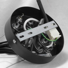 Подвесная люстра Lussole Seneca GRLSP-8177 в Режи - rezh.ok-mebel.com | фото 10