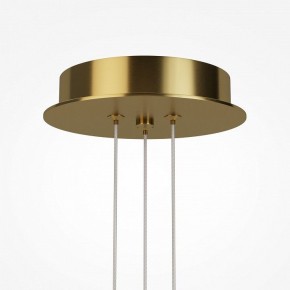 Подвесная люстра Maytoni Arana MOD401PL-L108BS3K в Режи - rezh.ok-mebel.com | фото 7
