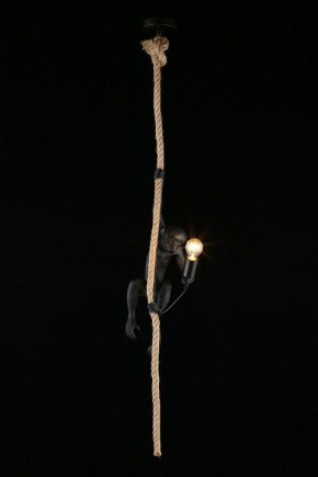 Подвесной светильник Aployt Magali APL.309.16.01 в Режи - rezh.ok-mebel.com | фото 3