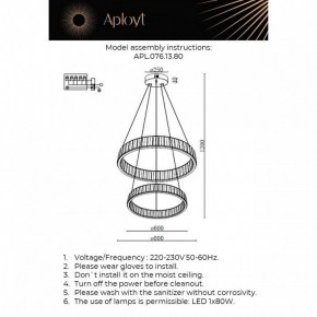 Подвесной светильник Aployt Oriann APL.076.13.80 в Режи - rezh.ok-mebel.com | фото 2