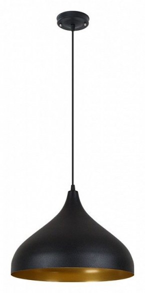 Подвесной светильник Arte Lamp Carmel A7076SP-1BK в Режи - rezh.ok-mebel.com | фото 2