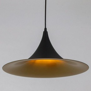Подвесной светильник Arte Lamp Carmel A7080SP-1BK в Режи - rezh.ok-mebel.com | фото