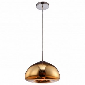 Подвесной светильник Arte Lamp Swift A8041SP-1GO в Режи - rezh.ok-mebel.com | фото 2