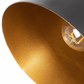 Подвесной светильник Arte Lamp Thomas A7032SP-1BK в Режи - rezh.ok-mebel.com | фото 5