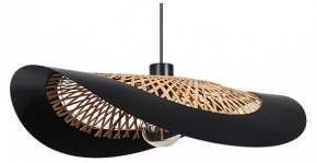 Подвесной светильник Arte Lamp Woodstock A7059SP-1BK в Режи - rezh.ok-mebel.com | фото