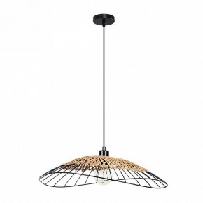 Подвесной светильник Arte Lamp Woodstock A7061SP-1BK в Режи - rezh.ok-mebel.com | фото 2