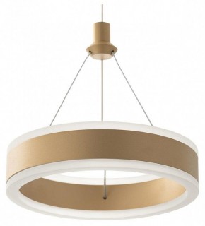 Подвесной светильник Citilux Дуэт CL719012 в Режи - rezh.ok-mebel.com | фото 4