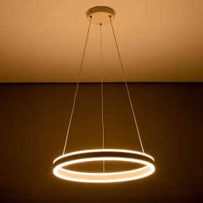 Подвесной светильник Citilux Дуэт CL719500 в Режи - rezh.ok-mebel.com | фото 11