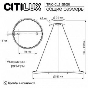 Подвесной светильник Citilux Trio CL215B051 в Режи - rezh.ok-mebel.com | фото 8