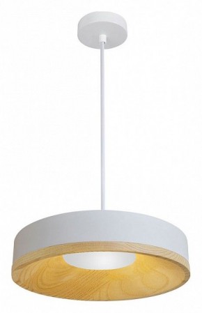 Подвесной светильник Divinare Vaso 5119/33 SP-12 в Режи - rezh.ok-mebel.com | фото 2