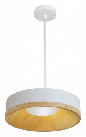 Подвесной светильник Divinare Vaso 5119/33 SP-8 в Режи - rezh.ok-mebel.com | фото 2