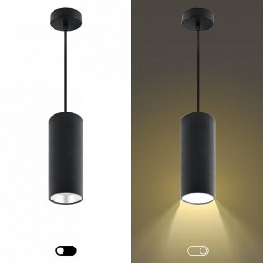 Подвесной светильник Эра  PL12 GX53 BK/SL в Режи - rezh.ok-mebel.com | фото 5