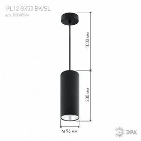 Подвесной светильник Эра  PL12 GX53 BK/SL в Режи - rezh.ok-mebel.com | фото 8