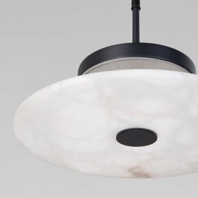 Подвесной светильник Eurosvet Thasos 40342 LED черный в Режи - rezh.ok-mebel.com | фото 8