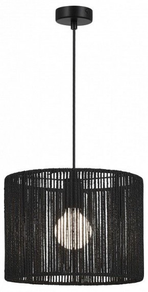 Подвесной светильник EVOLUCE ETTAN SLE6024-403-01 в Режи - rezh.ok-mebel.com | фото 2