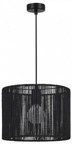 Подвесной светильник EVOLUCE ETTAN SLE6024-403-01 в Режи - rezh.ok-mebel.com | фото 4