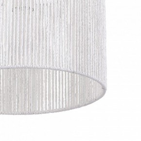 Подвесной светильник EVOLUCE ETTAN SLE6024-503-01 в Режи - rezh.ok-mebel.com | фото 8