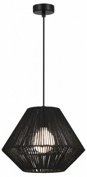 Подвесной светильник EVOLUCE ETTAN SLE6025-403-01 в Режи - rezh.ok-mebel.com | фото 2