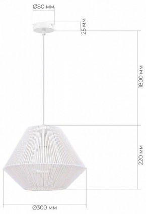 Подвесной светильник EVOLUCE ETTAN SLE6025-503-01 в Режи - rezh.ok-mebel.com | фото 6
