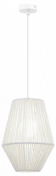 Подвесной светильник EVOLUCE ETTAN SLE6025-513-01 в Режи - rezh.ok-mebel.com | фото