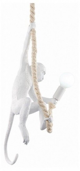 Подвесной светильник EVOLUCE Tenato SLE115103-01 в Режи - rezh.ok-mebel.com | фото 2