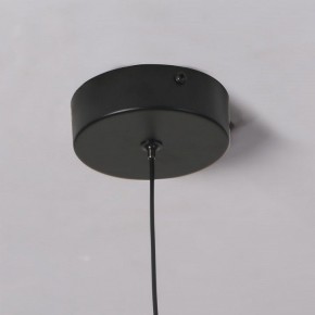 Подвесной светильник Favourite Wilet 4656-1P в Режи - rezh.ok-mebel.com | фото 10