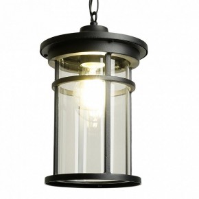 Подвесной светильник Feron PL765 51819 в Режи - rezh.ok-mebel.com | фото 3