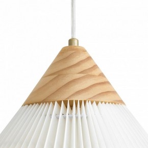 Подвесной светильник Freya Kinsley FR5533PL-01BS в Режи - rezh.ok-mebel.com | фото 8