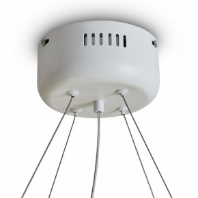 Подвесной светильник Freya Rain FR5546PL-L60W в Режи - rezh.ok-mebel.com | фото 9