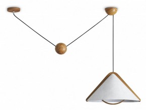 Подвесной светильник Freya Umbra FR5554CL-01T в Режи - rezh.ok-mebel.com | фото
