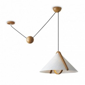 Подвесной светильник Freya Umbra FR5554CL-01T в Режи - rezh.ok-mebel.com | фото 2