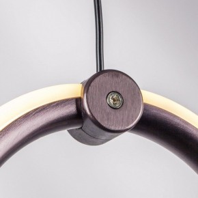 Подвесной светильник Lightstar Caramello 796139 в Режи - rezh.ok-mebel.com | фото 5