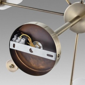 Подвесной светильник Lumion Mave 8100/8C в Режи - rezh.ok-mebel.com | фото 6