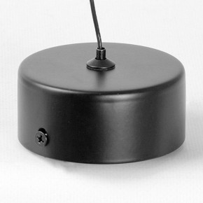 Подвесной светильник Lussole Blount LSP-7356 в Режи - rezh.ok-mebel.com | фото 6
