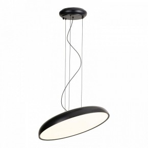Подвесной светильник Lussole Crook LSP-7360 в Режи - rezh.ok-mebel.com | фото 2