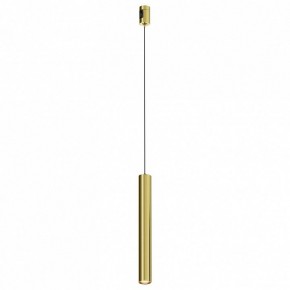 Подвесной светильник Maytoni Focus Led TR155-1-5W3K-BS в Режи - rezh.ok-mebel.com | фото