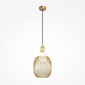 Подвесной светильник Maytoni Levitation MOD376PL-01G1 в Режи - rezh.ok-mebel.com | фото 2