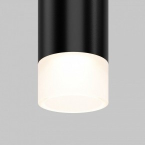 Подвесной светильник Maytoni Skim TR191-1-3W4K-M-B в Режи - rezh.ok-mebel.com | фото 2