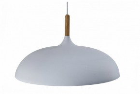 Подвесной светильник Moderli Hygo V11447-1P в Режи - rezh.ok-mebel.com | фото
